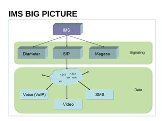 IMS BIG PICTURE
 
