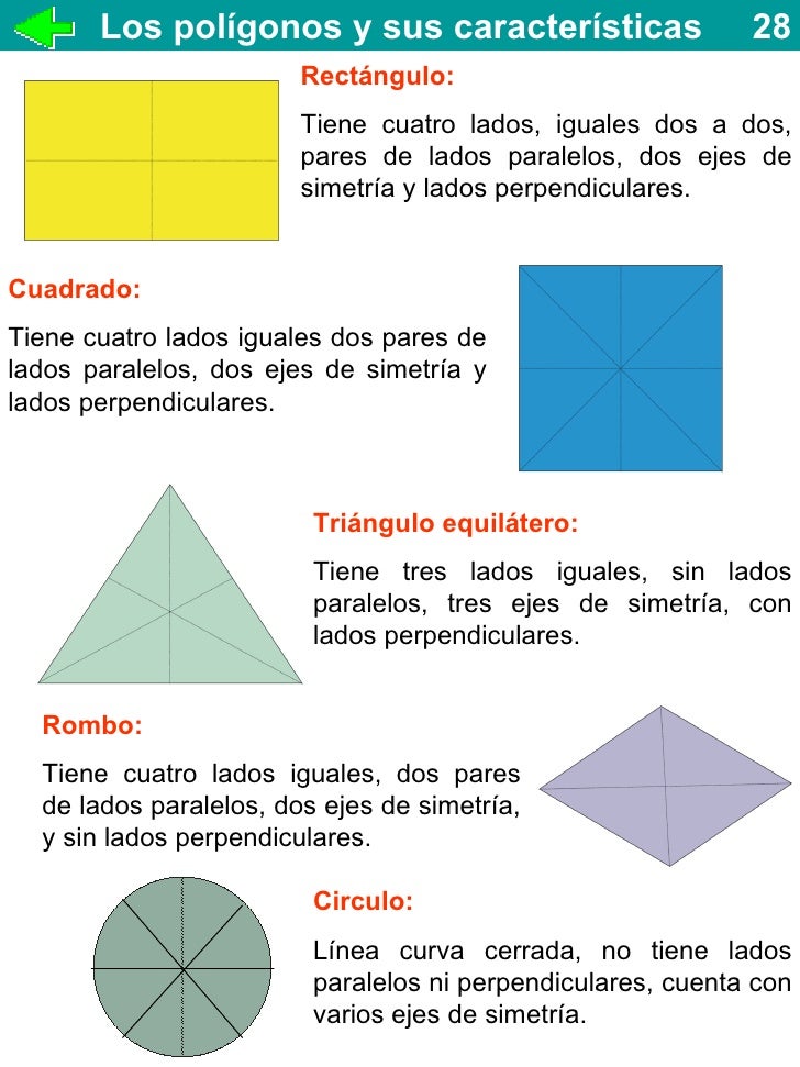 38+ Cuantos Lados Tiene El Circulo Image Lena
