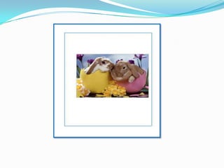 3º grado tarjetas en Publischer