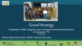Grand Strategy
Pengelolaan HHBK Unggulan yang Terintegrasi Berbasis Bentang Alam
di Kabupaten TTS
2016-2020
POKJA KEBIJAKAN KAB. TIMOR TENGAH SELATAN
 