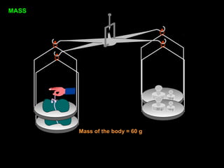 50 g 10 g
50 g 10 g
Mass of the body = 60 g
MASS
 