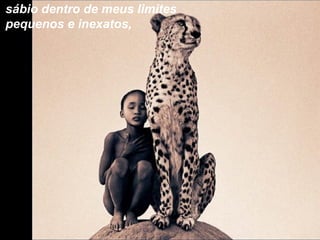 sábio dentro de meus limites
pequenos e inexatos,
 