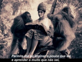 Permita-me eu ensinar o pouco que sei
e aprender o muito que não sei,
 