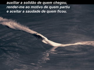 auxiliar a solidão de quem chegou,
render-me ao motivo de quem partiu
e aceitar a saudade de quem ficou.
 