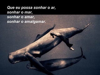 Que eu possa sonhar o ar,
sonhar o mar,
sonhar o amar,
sonhar o amalgamar.
 