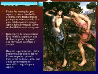Dafne fue perseguida por  Apolo ,  a quien  Eros  había disparado una flecha dorada para que se enamorase de ella, pues estaba molesto porque Apolo había bromeado sobre sus habilidades como arquero.  Dafne huyó de Apolo porque Eros le había disparado  una flecha con punta de plomo,  que provocaba desprecio y desdén.  Durante la persecución, Dafne imploró ayuda al dios del río Peneo, su padre, quien la transformó en  laurel , árbol que desde ese momento se convirtió en sagrado para Apolo. 