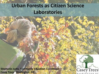 Urban Forests as Citizen Science 
Laboratories 
Stephanie Juchs, Community Education Coordinator 
Casey Trees Washington, D.C. 
 