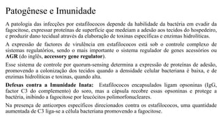 Patogênese e Imunidade
A patologia das infecções por estafilococos depende da habilidade da bactéria em evadir da
fagocitose, expressar proteínas de superfície que medeiam a adesão aos tecidos do hospedeiro,
e produzir dano tecidual através da elaboração de toxinas específicas e enzimas hidrolíticas.
A expressão de factores de virulência em estafilococos está sob o controle complexo de
sistemas regulatórios, sendo o mais importante o sistema regulador de genes acessórios ou
AGR (do inglês, accessory gene regulator).
Esse sistema de controle por quorum-sensing determina a expressão de proteínas de adesão,
promovendo a colonização dos tecidos quando a densidade celular bacteriana é baixa, e de
enzimas hidrolíticas e toxinas, quando alta.
Defesas contra a Imunidade Inata: Estafilococos encapsulados ligam opsoninas (IgG,
factor C3 do complemento) do soro, mas a cápsula recobre essas opsoninas e protege a
bactéria, inibindo a fagocitose por leucócitos polimorfonucleares.
Na presença de anticorpos específicos direcionados contra os estafilococos, uma quantidade
aumentada de C3 liga-se a célula bacteriana promovendo a fagocitose.
 