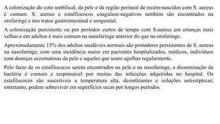 A colonização do coto umbilical, da pele e da região perineal de recém-nascidos com S. aureus
é comum. S. aureus e estafilococos coagulase-negativos também são encontrados na
orofaringe e nos tratos gastrointestinal e urogenital.
A colonização persistente ou por períodos curtos de tempo com S.aureus em crianças mais
velhas e em adultos é mais comum na nasofaringe anterior do que na orofaringe.
Aproximadamente 15% dos adultos saudáveis normais são portadores persistentes de S. aureus
na nasofaringe, com uma incidência maior em pacientes hospitalizados, médicos, indivíduos
com doenças eczematosas da pele e aqueles que usam agulhas regularmente.
Pelo facto de os estafilococos serem encontrados na pele e na nasofaringe, a disseminação da
bactéria é comum e responsável por muitas das infecções adquiridas no hospital. Os
estafilococos são suscetíveis a temperatura alta, desinfetantes e soluções antissépticas;
entretanto, podem sobreviver em superfícies secas por longos períodos.
 