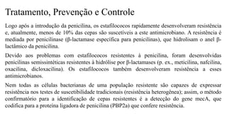 Tratamento, Prevenção e Controle
Logo após a introdução da penicilina, os estafilococos rapidamente desenvolveram resistência
e, atualmente, menos de 10% das cepas são suscetíveis a este antimicrobiano. A resistência é
mediada por penicilinase (β-lactamase específica para penicilinas), que hidrolisam o anel β-
lactâmico da penicilina.
Devido aos problemas com estafilococos resistentes à penicilina, foram desenvolvidas
penicilinas semissintéticas resistentes à hidrólise por β-lactamases (p. ex., meticilina, nafcilina,
oxacilina, dicloxacilina). Os estafilococos também desenvolveram resistência a esses
antimicrobianos.
Nem todas as células bacterianas de uma população resistente são capazes de expressar
resistência nos testes de suscetibilidade tradicionais (resistência heterogênea); assim, o método
confirmatório para a identificação de cepas resistentes é a detecção do gene mecA, que
codifica para a proteína ligadora de penicilina (PBP2a) que confere resistência.
 