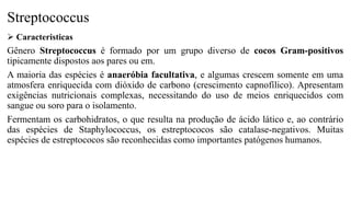 Streptococcus
 Caracteristicas
Gênero Streptococcus é formado por um grupo diverso de cocos Gram-positivos
tipicamente dispostos aos pares ou em.
A maioria das espécies é anaeróbia facultativa, e algumas crescem somente em uma
atmosfera enriquecida com dióxido de carbono (crescimento capnofílico). Apresentam
exigências nutricionais complexas, necessitando do uso de meios enriquecidos com
sangue ou soro para o isolamento.
Fermentam os carbohidratos, o que resulta na produção de ácido lático e, ao contrário
das espécies de Staphylococcus, os estreptococos são catalase-negativos. Muitas
espécies de estreptococos são reconhecidas como importantes patógenos humanos.
 