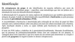 Identificação
Os estreptococos do grupo A são identificados de maneira definitiva por meio da
demonstração do carboidrato grupo – específico, uma metodologia que não era prática até a
introdução de testes de detecção direta do antígeno.
A diferenciação de S. pyogenes de outras espécies de estreptococos que também apresentam o
antígeno de grupo A pode ser determinada pela suscetibilidade à bacitracina ou pela presença
da enzima L-pirrolidonil arilamidase (PYR).
A suscetibilidade à bacitracina é determinada pela colocação de um disco de papel de filtro
saturado com o antimicrobiano sobre uma placa com meio de cultura inoculado com a bactéria.
Após incubação durante a noite, as cepas inibidas pela bacitracina são consideradas S.
pyogenes.
O teste do PYR indica a hidrólise do L-pirrolodonil-β-naftilamida, liberando β-naftilamina,
que na presença de p-diaminocinamaldeído forma com um composto de cor púrpura. A
vantagem desse teste específico é que leva menos de um minuto para determinar se a reação é
positiva (S. pyogenes) ou negativa (todos os demais estreptococos).
 