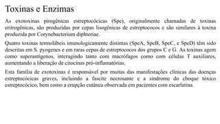 Toxinas e Enzimas
As exotoxinas pirogênicas estreptocócicas (Spe), originalmente chamadas de toxinas
eritrogênicas, são produzidas por cepas lisogênicas de estreptococos e são similares à toxina
produzida por Corynebacterium diphteriae.
Quatro toxinas termolábeis imunologicamente distintas (SpeA, SpeB, SpeC, e SpeD) têm sido
descritas em S. pyogenes e em raras cepas de estreptococos dos grupos C e G. As toxinas agem
como superantígenos, interagindo tanto com macrófagos como com células T auxiliares,
aumentando a liberação de citocinas pró-inflamatórias.
Esta família de exotoxinas é responsável por muitas das manifestações clínicas das doenças
estreptocócicas graves, incluindo a fascite necrosante e a síndrome do choque tóxico
estreptocócico, bem como a erupção cutânea observada em pacientes com escarlatina.
 
