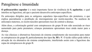 Patogênese e Imunidade
O polissacarídeo capsular é o mais importante factor de virulência de S. agalactiae, o qual
interfere na fagocitose, até que o paciente desenvolva anticorpos específicos.
Os anticorpos dirigidos para os antígenos capsulares tipo-específicos são protetores, o que
explica parcialmente a predileção do microrganismo por recém-nascidos. Na ausência de
anticorpos maternos, os recém-nascidos apresentam risco de contrair a doença.
Além disso, a colonização genital com estreptococos do grupo B tem sido associada ao risco
aumentado para parto prematuro; crianças prematuras apresentam risco ainda maior para a
doença.
As vias clássicas e alternativas funcionais do sistema complemento são necessárias para matar
os estreptococos do grupo B, particularmente dos tipos Ia, III e V. O ácido siálico pode inibir a
ativação da via alternativa do sistema complemento, interferindo assim com a fagocitose das
cepas de estreptococos do grupo B.
 