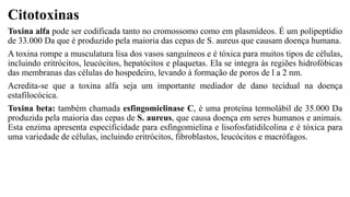 Citotoxinas
Toxina alfa pode ser codificada tanto no cromossomo como em plasmídeos. É um polipeptídio
de 33.000 Da que é produzido pela maioria das cepas de S. aureus que causam doença humana.
A toxina rompe a musculatura lisa dos vasos sanguíneos e é tóxica para muitos tipos de células,
incluindo eritrócitos, leucócitos, hepatócitos e plaquetas. Ela se integra às regiões hidrofóbicas
das membranas das células do hospedeiro, levando à formação de poros de l a 2 nm.
Acredita-se que a toxina alfa seja um importante mediador de dano tecidual na doença
estafilocócica.
Toxina beta: também chamada esfingomielinase C, é uma proteína termolábil de 35.000 Da
produzida pela maioria das cepas de S. aureus, que causa doença em seres humanos e animais.
Esta enzima apresenta especificidade para esfingomielina e lisofosfatidilcolina e é tóxica para
uma variedade de células, incluindo eritrócitos, fibroblastos, leucócitos e macrófagos.
 