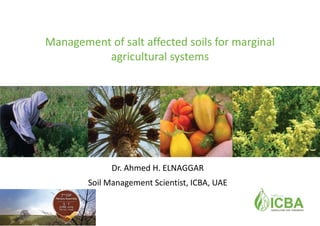 Dr. Ahmed H. ELNAGGAR
Soil Management Scientist, ICBA, UAE
Management of salt affected soils for marginal
agricultural systems
 
