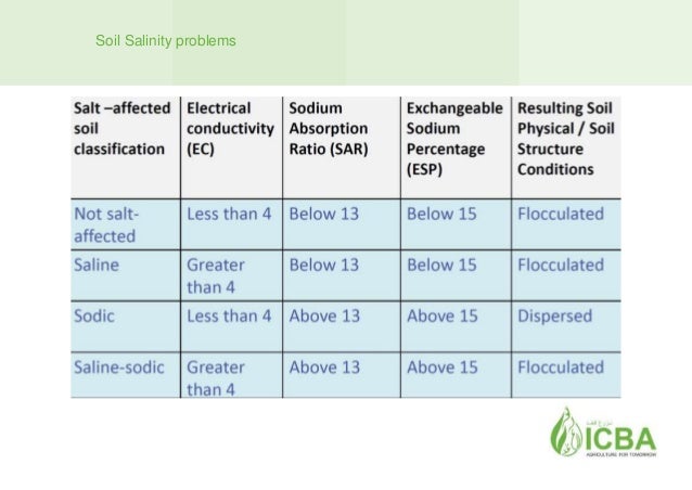 Management Of Salt Affected Soils For Marginal Agricultural Systems