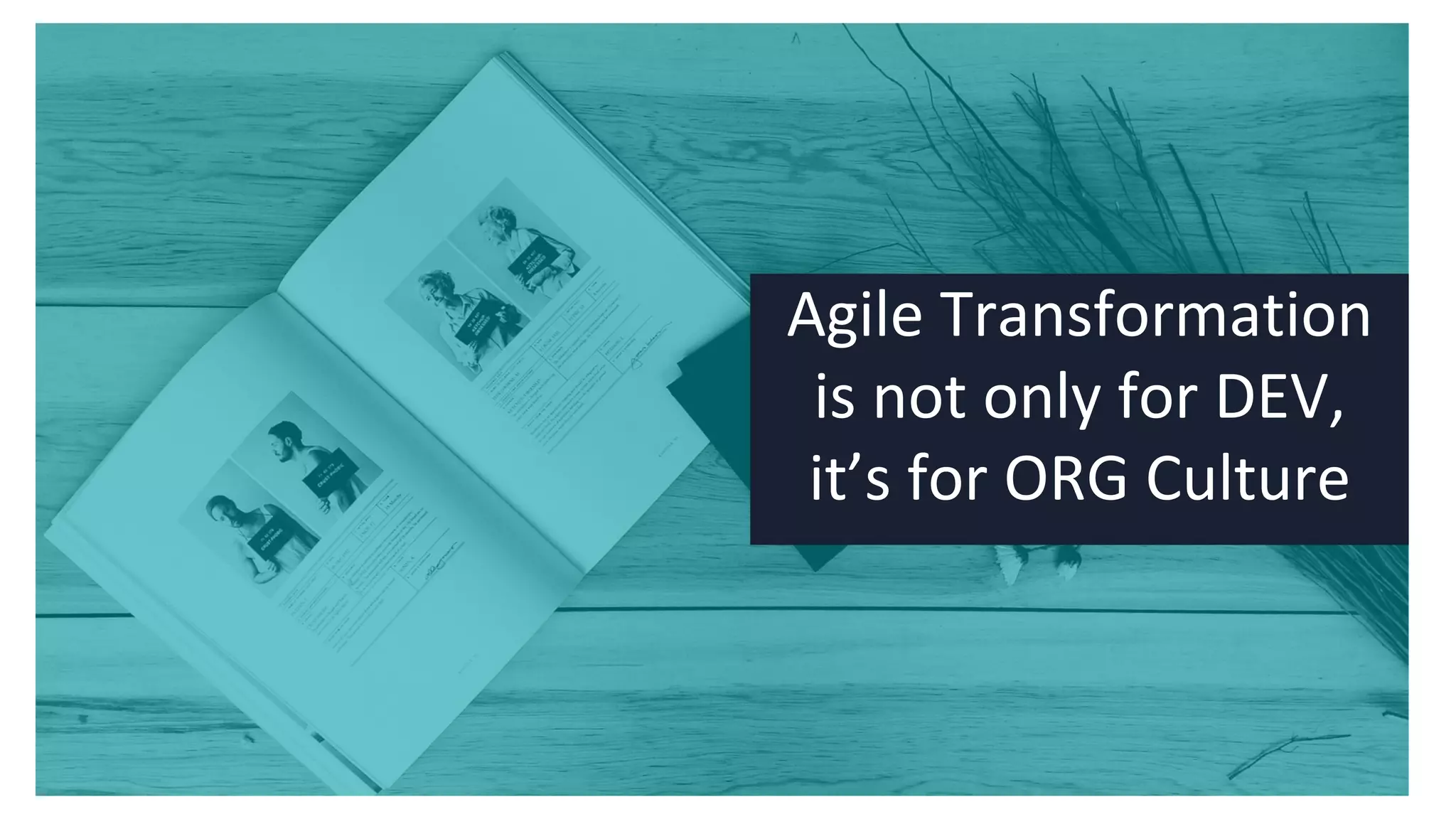 Agile Transformation
is not only for DEV,
it’s for ORG Culture
 