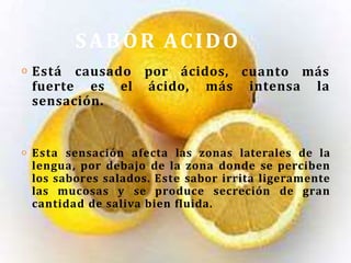 SABOR ACIDO
o Está causado por ácidos,
fuerte es el ácido, más
cuanto más
intensa la
sensación.
o Esta sensación afecta las zonas laterales de la
lengua, por debajo de la zona donde se perciben
los sabores salados. Este sabor irrita ligeramente
las mucosas y se produce secreción de gran
cantidad de saliva bien fluida.
 
