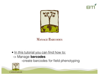 Manage Barcodes
-> Manage barcodes
-create barcodes for field phenotyping
• In this tutorial you can find how to:
 