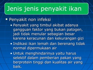  Penyakit non infeksiPenyakit non infeksi
• Penyakit yang timbul akibat adanyaPenyakit yang timbul akibat adanya
gangguan faktor yang bukan patogen,gangguan faktor yang bukan patogen,
jadi tidak menular sebagian besarjadi tidak menular sebagian besar
karena keracunan dan kekurangan gizikarena keracunan dan kekurangan gizi
• Indikasi ikan lemahIndikasi ikan lemah dan berenang tidakdan berenang tidak
normal dipermukaan airnormal dipermukaan air
• Untuk menghindarinya yaitu harusUntuk menghindarinya yaitu harus
selektif dalam pemberian pakan yangselektif dalam pemberian pakan yang
berprotein tinggi dan kualitas air yangberprotein tinggi dan kualitas air yang
baik.baik.
 