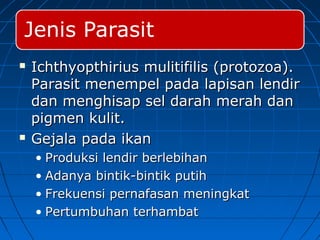  Ichthyopthirius mulitifilis (protozoa).Ichthyopthirius mulitifilis (protozoa).
Parasit menempel pada lapisan lendirParasit menempel pada lapisan lendir
dan menghisap sel darah merah dandan menghisap sel darah merah dan
pigmen kulit.pigmen kulit.
 Gejala pada ikanGejala pada ikan
• Produksi lendir berlebihanProduksi lendir berlebihan
• Adanya bintik-bintik putihAdanya bintik-bintik putih
• Frekuensi pernafasan meningkatFrekuensi pernafasan meningkat
• Pertumbuhan terhambatPertumbuhan terhambat
 