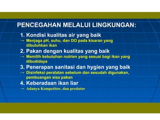 PENCEGAHAN MELALUI LINGKUNGAN:
1. Kondisi kualitas air yang baik
→ Menjaga pH, suhu, dan DO pada kisaran yang
dibutuhkan ikan
2. Pakan dengan kualitas yang baik
→ Memilih kebutuhan nutrien yang sesuai bagi ikan yang
dibudidaya
3. Penerapan sanitasi dan hygien yang baik
→ Disinfeksi peralatan sebelum dan sesudah digunakan,
pembuangan sisa pakan
4. Keberadaan ikan liar
→ Adanya Kompetitor, dan predator
 