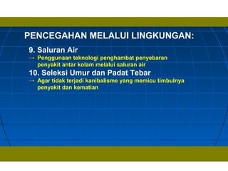 PENCEGAHAN MELALUI LINGKUNGAN:
9. Saluran Air
→ Penggunaan teknologi penghambat penyebaran
penyakit antar kolam melalui saluran air
10. Seleksi Umur dan Padat Tebar
→ Agar tidak terjadi kanibalisme yang memicu timbulnya
penyakit dan kematian
 