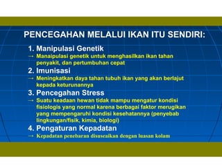 PENCEGAHAN MELALUI IKAN ITU SENDIRI:
1. Manipulasi Genetik
→ Manaipulasi genetik untuk menghasilkan ikan tahan
penyakit, dan pertumbuhan cepat
2. Imunisasi
→ Meningkatkan daya tahan tubuh ikan yang akan berlajut
kepada keturunannya
3. Pencegahan Stress
→ Suatu keadaan hewan tidak mampu mengatur kondisi
fisiologis yang normal karena berbagai faktor merugikan
yang mempengaruhi kondisi kesehatannya (penyebab
lingkungan/fisik, kimia, biologi)
4. Pengaturan Kepadatan
→ Kepadatan penebaran disuseaikan dengan luasan kolam
 