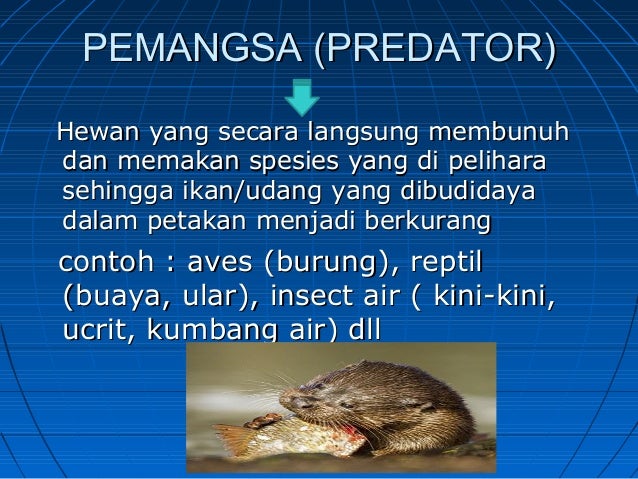 Hama Dan Penyakit Ikan