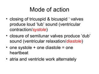 Mode of action
• closing of tricuspid & bicuspid ‘ valves
produce loud ‘lub’ sound (ventricular
contraction/systole)
• closure of semilunar valves produce ’dub’
sound (ventricular relaxation/diastole)
• one systole + one diastole = one
heartbeat
• atria and ventricle work alternately
 