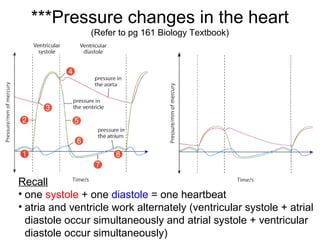 ***Pressure changes in the heart
(Refer to pg 161 Biology Textbook)
Recall
• one systole + one diastole = one heartbeat
• atria and ventricle work alternately (ventricular systole + atrial
diastole occur simultaneously and atrial systole + ventricular
diastole occur simultaneously)
 