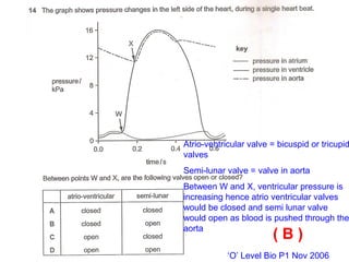 ‘O’ Level Bio P1 Nov 2006
( B )
Atrio-ventricular valve = bicuspid or tricupid
valves
Semi-lunar valve = valve in aorta
Between W and X, ventricular pressure is
increasing hence atrio ventricular valves
would be closed and semi lunar valve
would open as blood is pushed through the
aorta
 