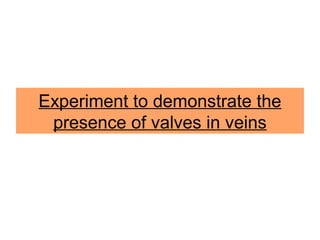 Experiment to demonstrate the
presence of valves in veins
 