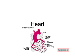 Heart
Click me!
 