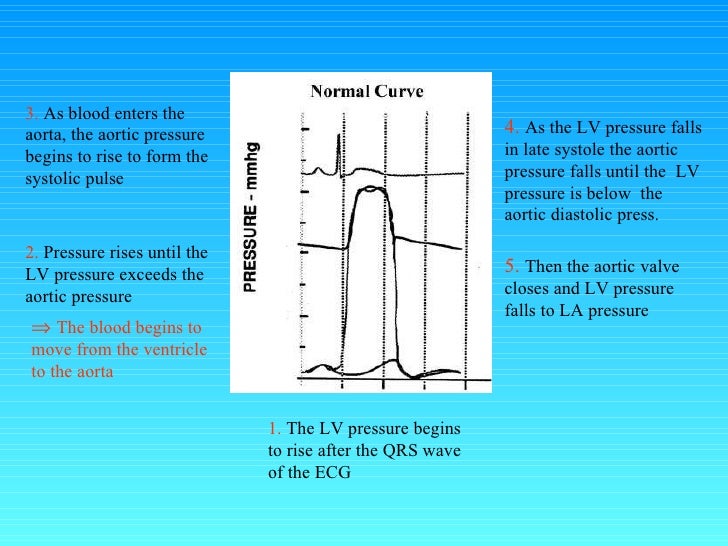 3 Hemodynamics 2Ndyears 3 Hemodynamics 2Ndyears