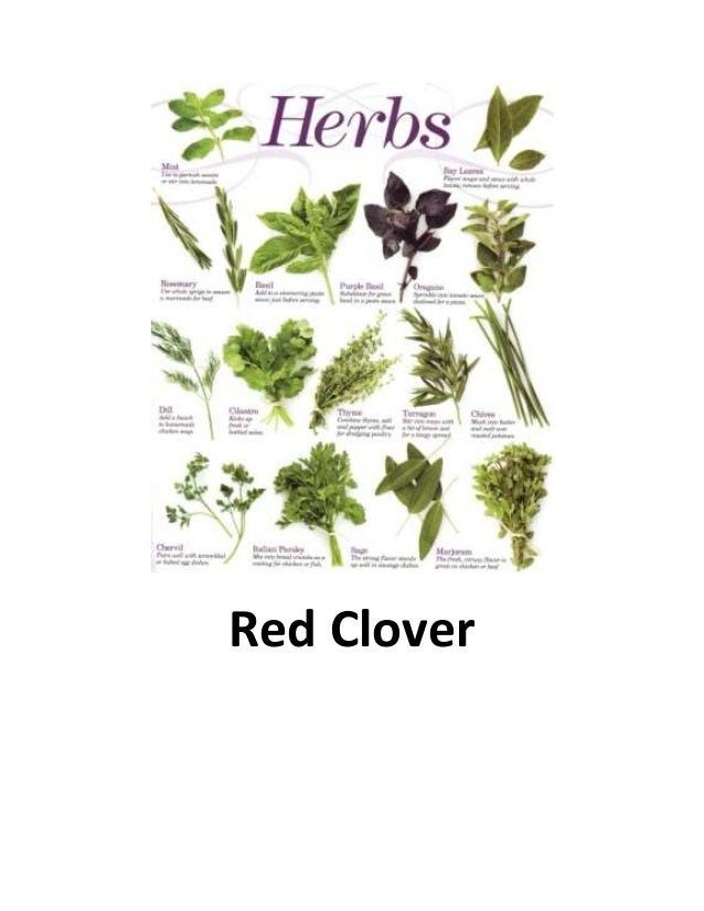 3 Herbal Remedies for Treatment of Ovarian Cyst