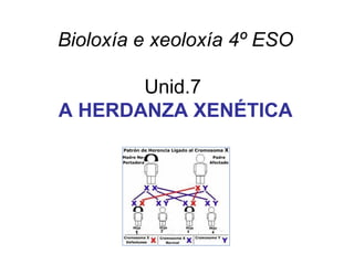 Bioloxía e xeoloxía 4º ESO
Unid.7
A HERDANZA XENÉTICA
 