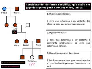 Considerando, de forma simplifica, que estão em
                              jogo dois genes para a cor dos olhos, indica:

Bisavó         Bisavô
                                              1. Os genes considerados.


                                              O gene que determina a cor castanha dos
                                              olhos e o gene que determina a cor azul.

              Ana

              Cc                              2. O gene dominante


                                              O gene que determina a cor castanha é
                                              dominante relativamente ao gene que
                Maria    Isabel        Nuno
                                              determina a cor azul.


                                              3. O genótipo provável da avó Ana.


                               Margarida      A Avó Ana apresenta um gene que determina
 C – cor castanha/dominante

c – cor azul/recessivo
                               ???            a cor castanha e o gene que determina a cor
                                              azul.
 