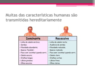 Muitas das características humanas são
transmitidas hereditariamente
 