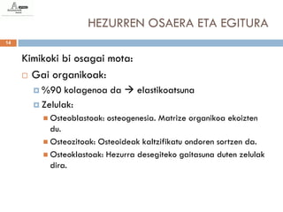 HEZURREN OSAERA ETA EGITURA
14


     Kimikoki bi osagai mota:
      Gai organikoak:

        %90   kolagenoa da  elastikoatsuna
        Zelulak:
          Osteoblastoak:   osteogenesia. Matrize organikoa ekoizten
           du.
          Osteozitoak: Osteoideak kaltzifikatu ondoren sortzen da.
          Osteoklastoak: Hezurra desegiteko gaitasuna duten zelulak
           dira.
 