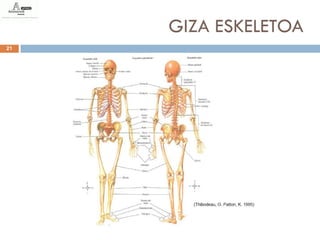 GIZA ESKELETOA
21
 