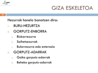GIZA ESKELETOA
22


     Hezurrak honela banatzen dira:
     1. BURU-HEZURTZA
     2. GORPUTZ-ENBORRA
          a.    Bizkarrezurra
          b.    Saihetsezurrak
          c.    Bularrezurra edo esternoia
     3.        GORPUTZ-ADARRAK
          a.    Goiko gorputz-adarrak
          b.    Beheko gorputz-adarrak
 