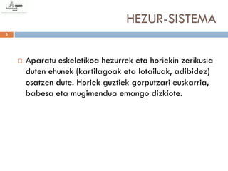 HEZUR-SISTEMA
3




       Aparatu eskeletikoa hezurrek eta horiekin zerikusia
        duten ehunek (kartilagoak eta lotailuak, adibidez)
        osatzen dute. Horiek guztiek gorputzari euskarria,
        babesa eta mugimendua emango dizkiote.
 