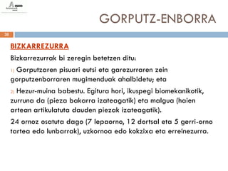 GORPUTZ-ENBORRA
30


     BIZKARREZURRA
     Bizkarrezurrak bi zeregin betetzen ditu:
     1) Gorputzaren pisuari eutsi eta garezurraren zein

     gorputzenborraren mugimenduak ahalbidetu; eta
     2) Hezur-muina babestu. Egitura hori, ikuspegi biomekanikotik,

     zurruna da (pieza bakarra izateagatik) eta malgua (haien
     artean artikulatuta dauden piezak izateagatik).
     24 ornoz osatuta dago (7 lepaorno, 12 dortsal eta 5 gerri-orno
     tartea edo lunbarrak), uzkornoa edo kokzixa eta erreinezurra.
 