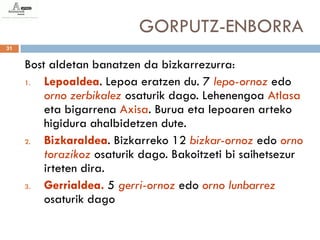 GORPUTZ-ENBORRA
31


     Bost aldetan banatzen da bizkarrezurra:
     1.  Lepoaldea. Lepoa eratzen du. 7 lepo-ornoz edo
         orno zerbikalez osaturik dago. Lehenengoa Atlasa
         eta bigarrena Axisa. Burua eta lepoaren arteko
         higidura ahalbidetzen dute.
     2.  Bizkaraldea. Bizkarreko 12 bizkar-ornoz edo orno
         torazikoz osaturik dago. Bakoitzeti bi saihetsezur
         irteten dira.
     3.  Gerrialdea. 5 gerri-ornoz edo orno lunbarrez
         osaturik dago
 