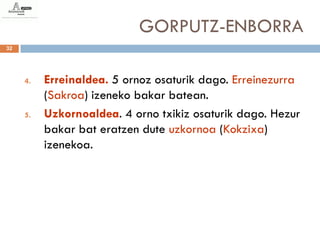GORPUTZ-ENBORRA
32




     4.   Erreinaldea. 5 ornoz osaturik dago. Erreinezurra
          (Sakroa) izeneko bakar batean.
     5.   Uzkornoaldea. 4 orno txikiz osaturik dago. Hezur
          bakar bat eratzen dute uzkornoa (Kokzixa)
          izenekoa.
 