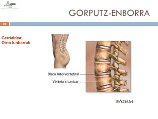 GORPUTZ-ENBORRA
35




Gerrialdea:
Orno lunbarrak
 