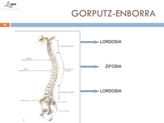 GORPUTZ-ENBORRA
36




          LORDOSIA




           ZIFOSIA




          LORDOSIA
 