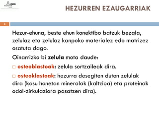 HEZURREN EZAUGARRIAK
4


    Hezur-ehuna, beste ehun konektibo batzuk bezala,
    zelulaz eta zelulaz kanpoko materialez edo matrizez
    osatuta dago.
    Oinarrizko bi zelula mota daude:
     osteoblastoak: zelula sortzaileak dira.

     osteoklastoak: hezurra desegiten duten zelulak

    dira (kasu honetan mineralak (kaltzioa) eta proteinak
    odol-zirkulaziora pasatzen dira).
 